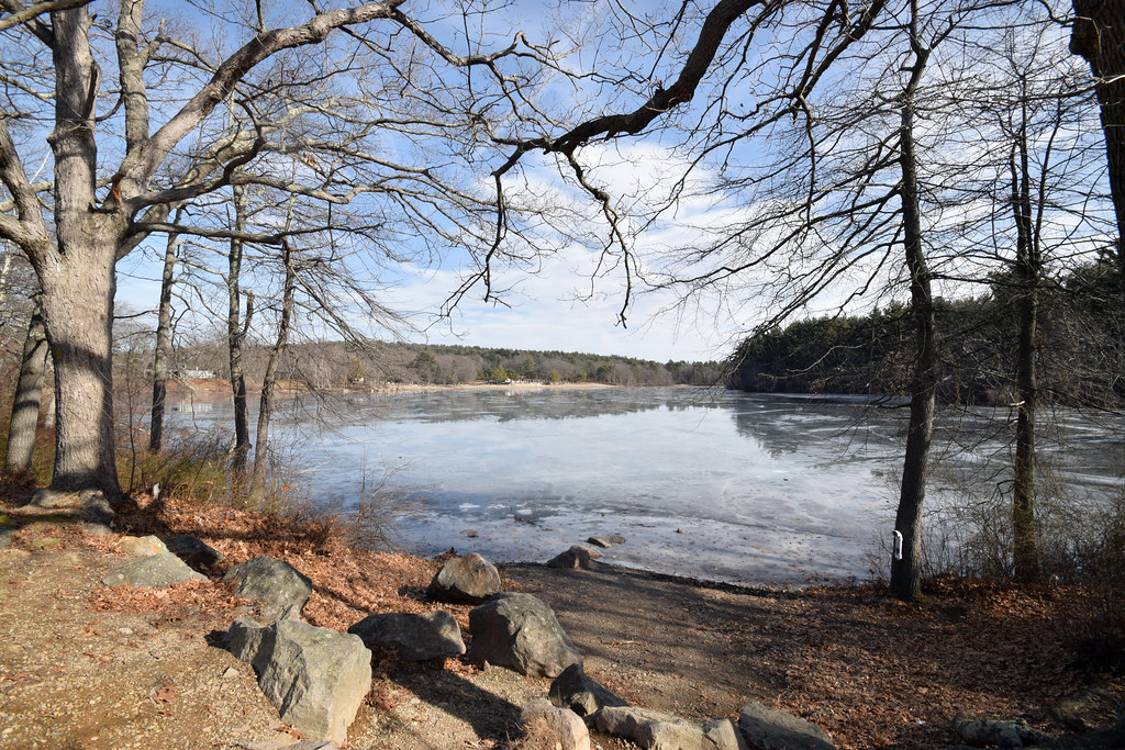 Houghton's Pond Blue Hills Reservation, Milton, MA 1/27/18… ophis