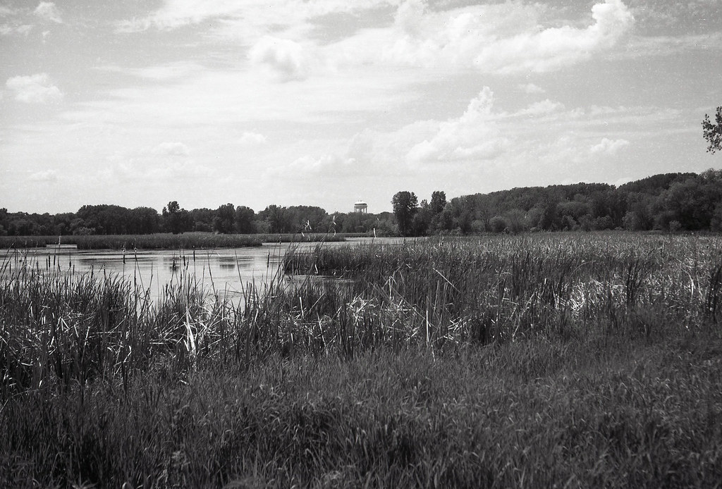 Wood Lake Wood Lake in Richfield, Minnesota. Camera 1935 … Flickr
