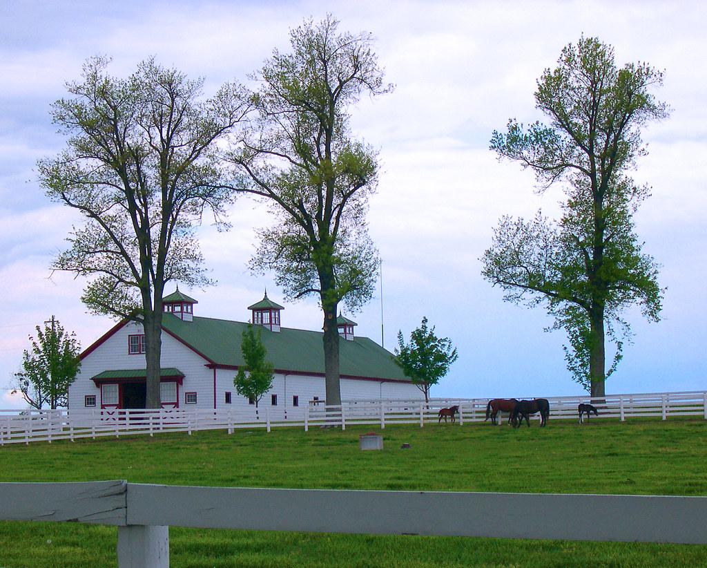 Calumet Farm as seen on New Circle Road (KY 4), Lexington… Flickr