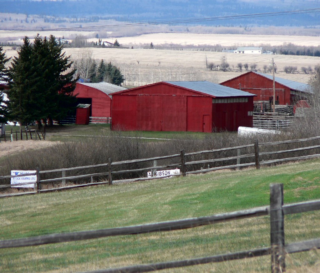 The View (west of Calgary) A small farm west of Calgary...… Flickr