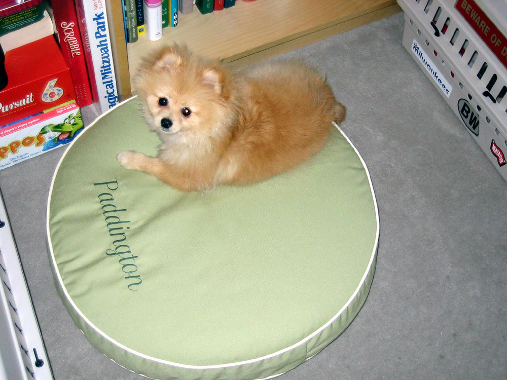 LL Bean dog bed We bought the smallest size dog bed from L… Flickr