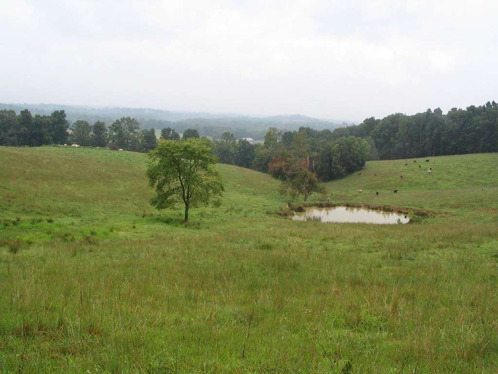 Rural Kentucky Kentucky, officially the Commonwealth of Ke… Flickr