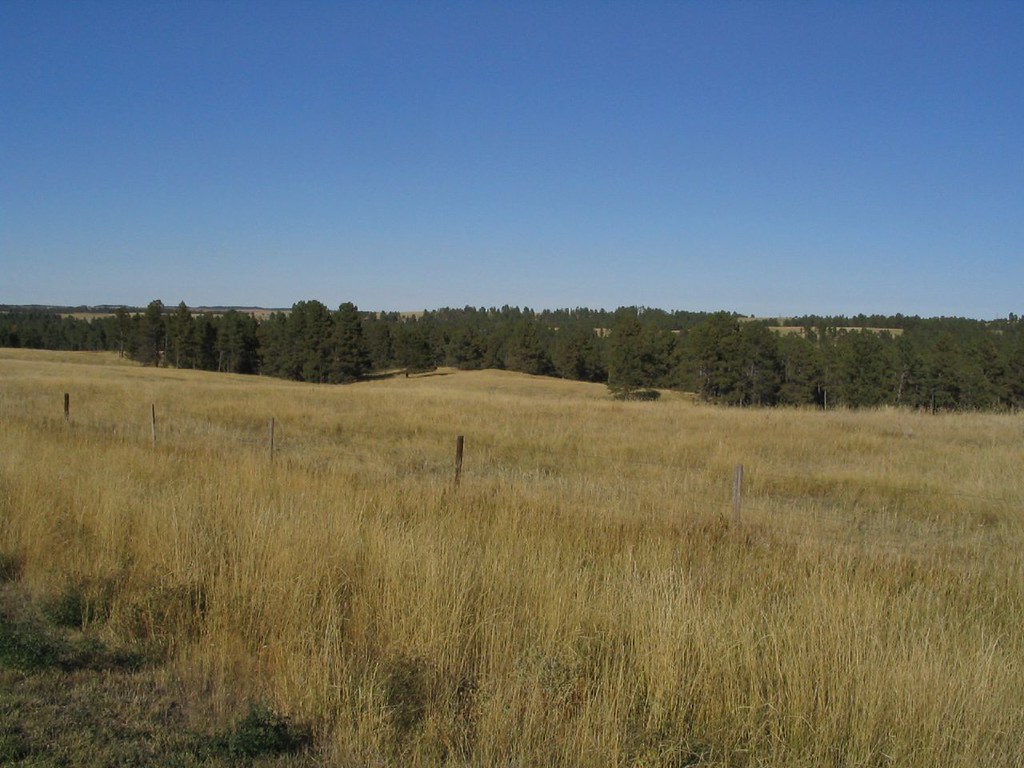 Pine Ridge Region Near Chadron, Nebraska The Pine Ridge is… Flickr