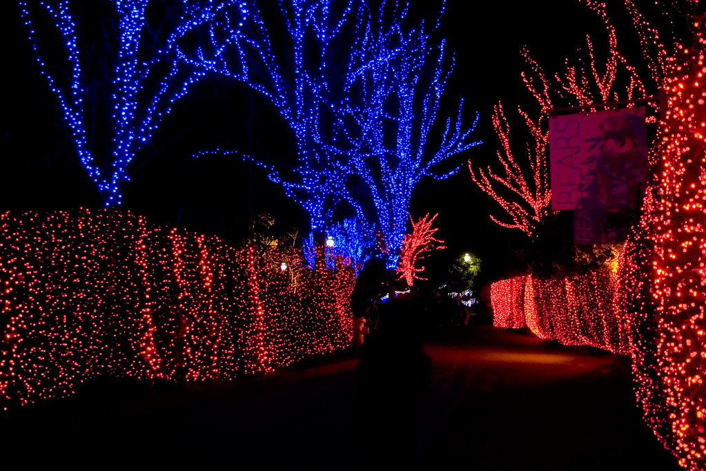 Detroit News Pictures Of Zoo Lights getrawdesign