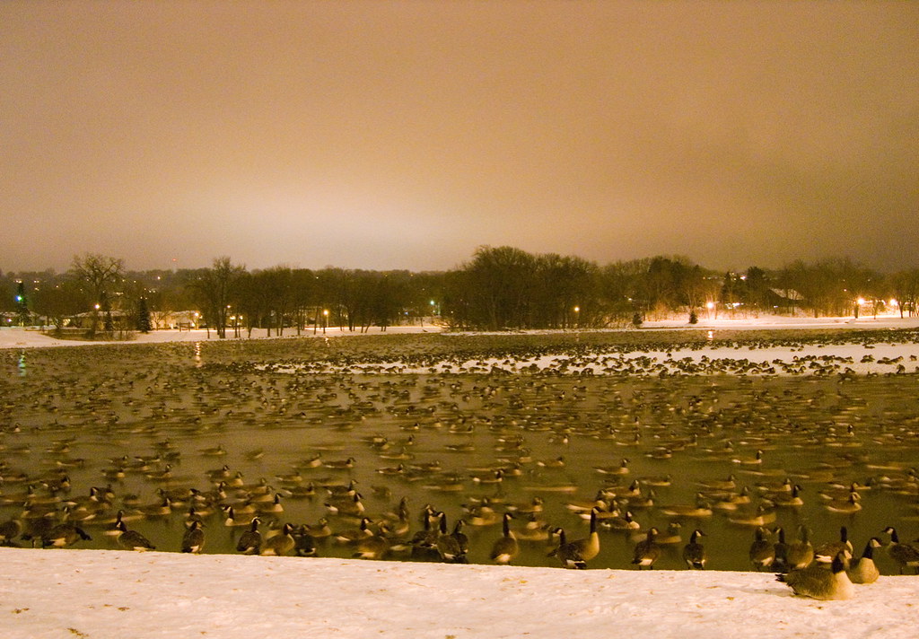 By the shores of Silver Lake Minnesota land of 10,000 lak… Flickr