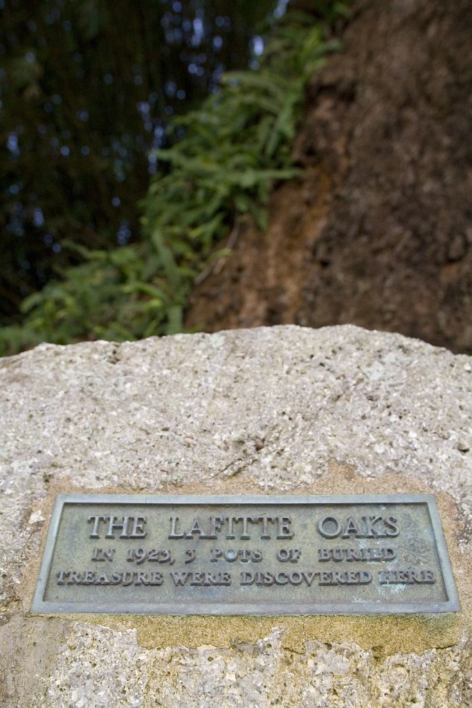 Buried Treasure Lafitte Oaks (Quercus virginiana), Rip Van… Flickr