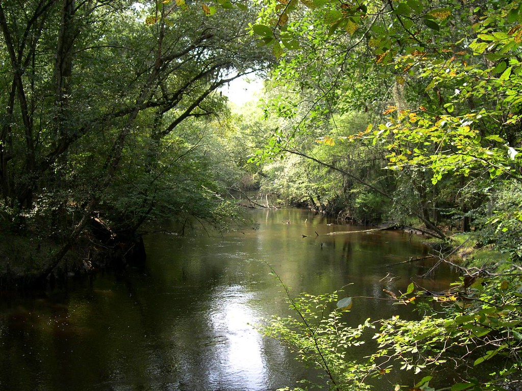 Black Creek, Darlington County, South Carolina SC has 46 c… Flickr