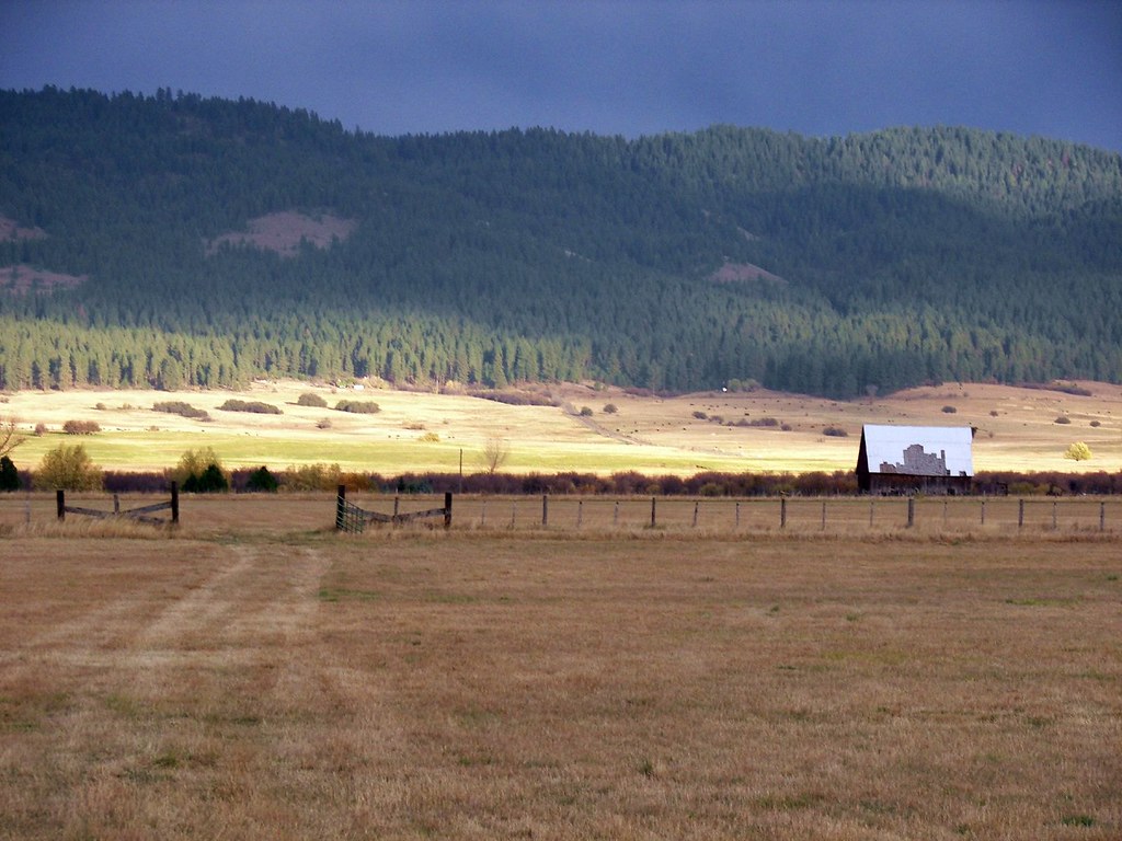 Meadows Valley Jess Johnson Flickr