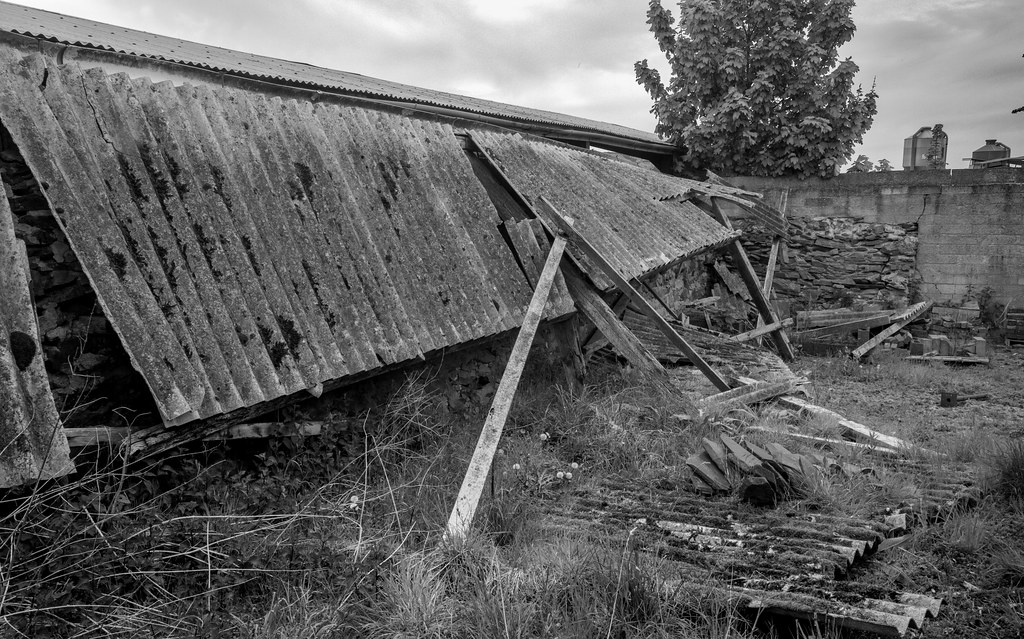 Fallen! MK4_1542 Friends garden, Saron, Denbigh. Wales. UK… Flickr