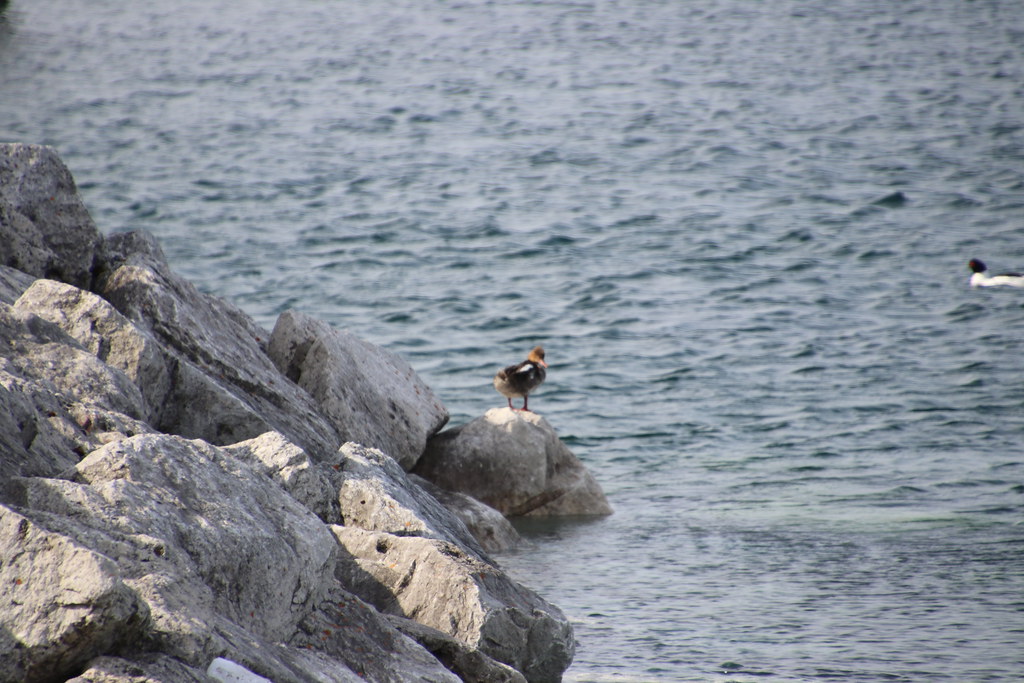 Walking in St. Ignace St. Ignace, Michigan (Tuesday May … Flickr