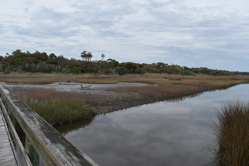 scene Oak Island SE 9th St ncwetlands AM (33) NC Wetlands Flickr