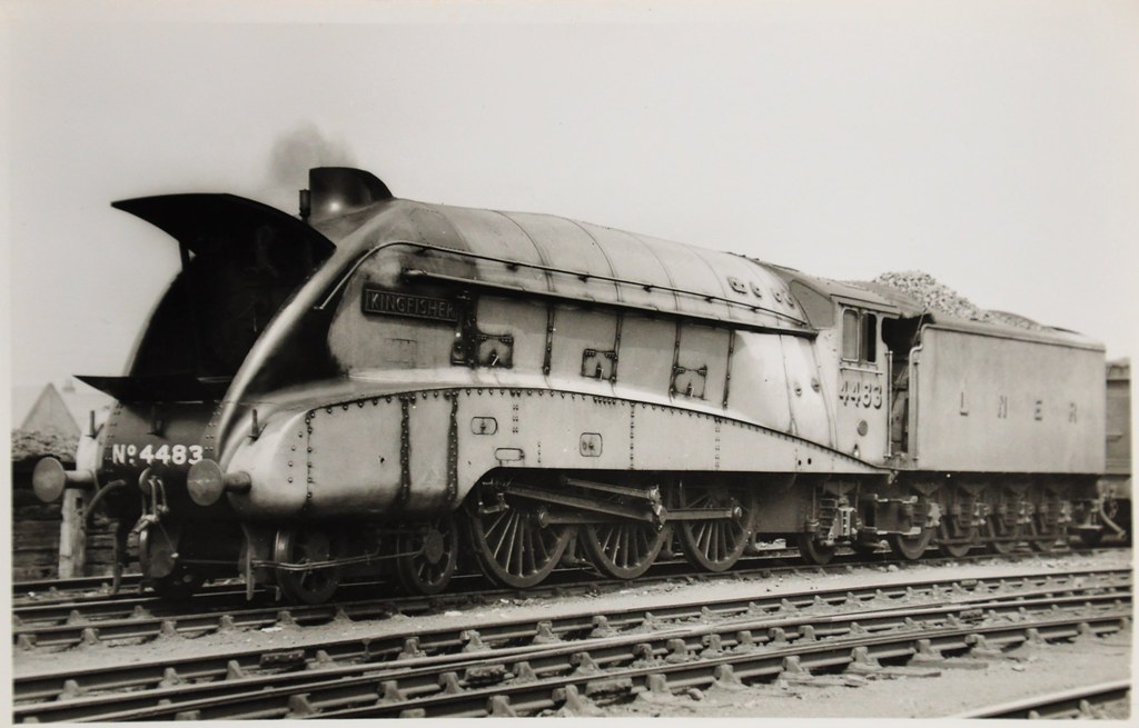 4483 A4 4483 Kingfisher. Richard Flickr