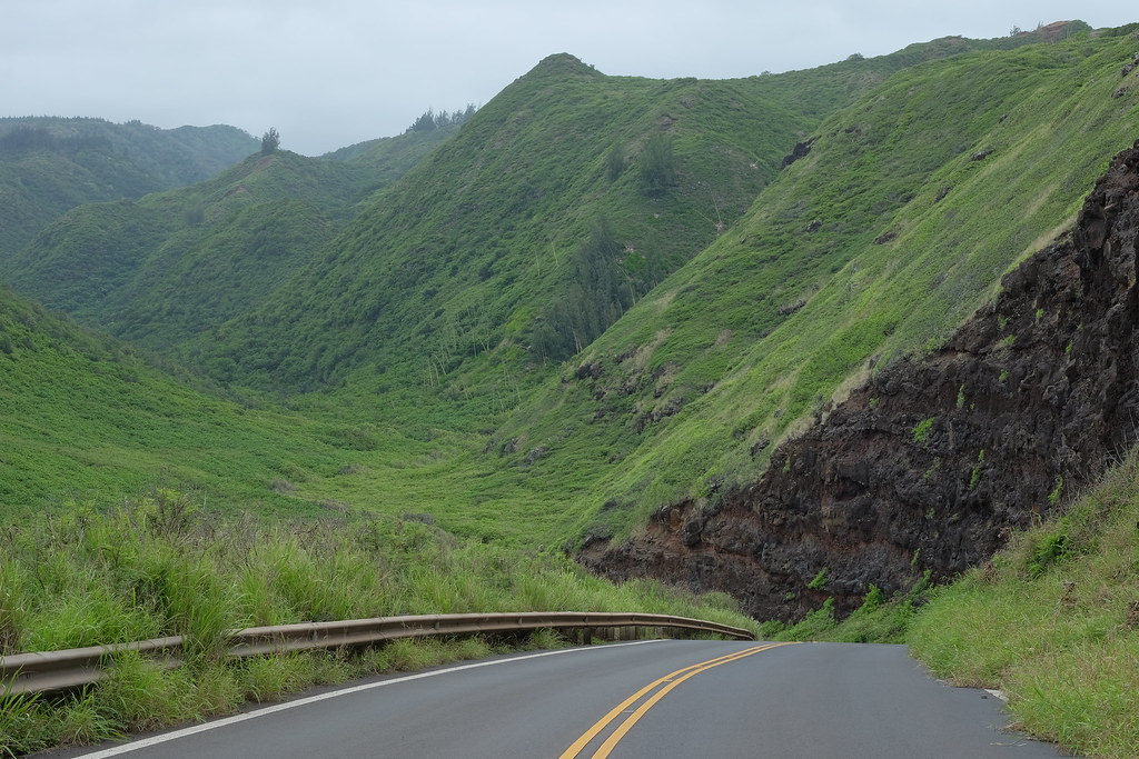 Green time, Maui, Hawaii, April’18 vlas.khilkevich Flickr