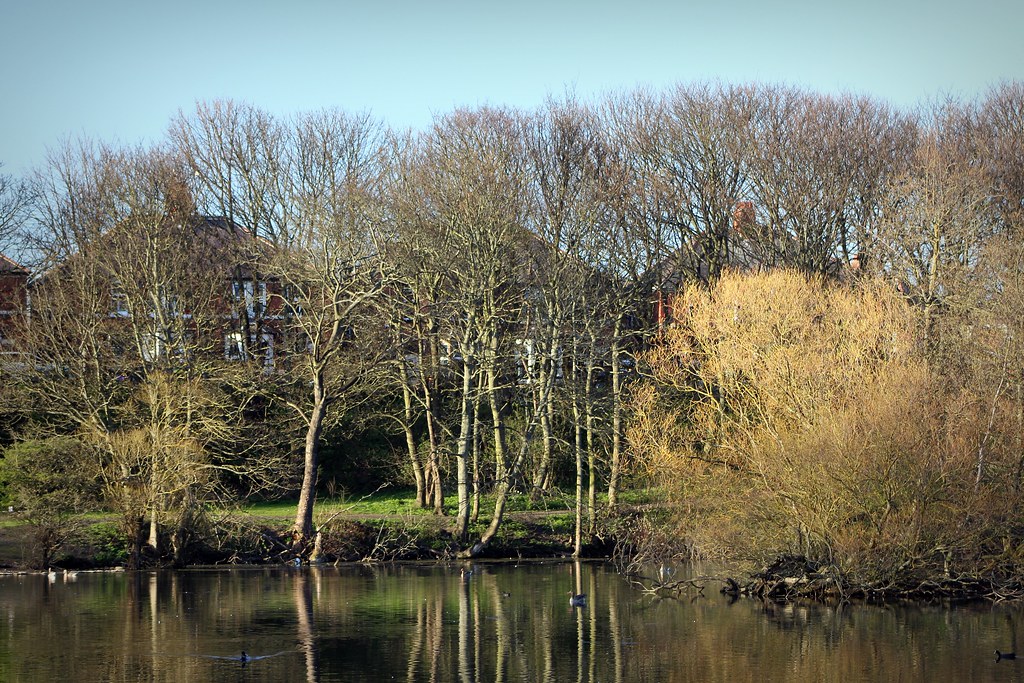 Lakeside Marden Quarry Nature Reserve, North Tyneside John Appleton