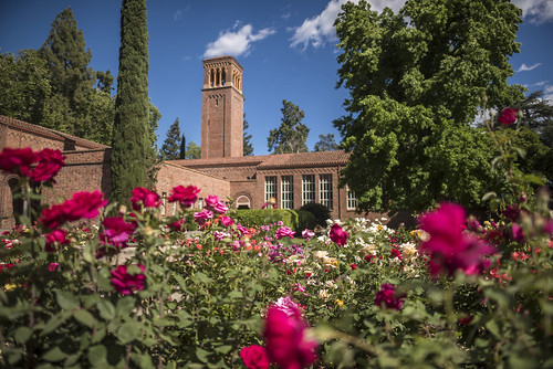 20180511_RoseGarden_JH_013 Trinity Hall is seen behind the… Flickr