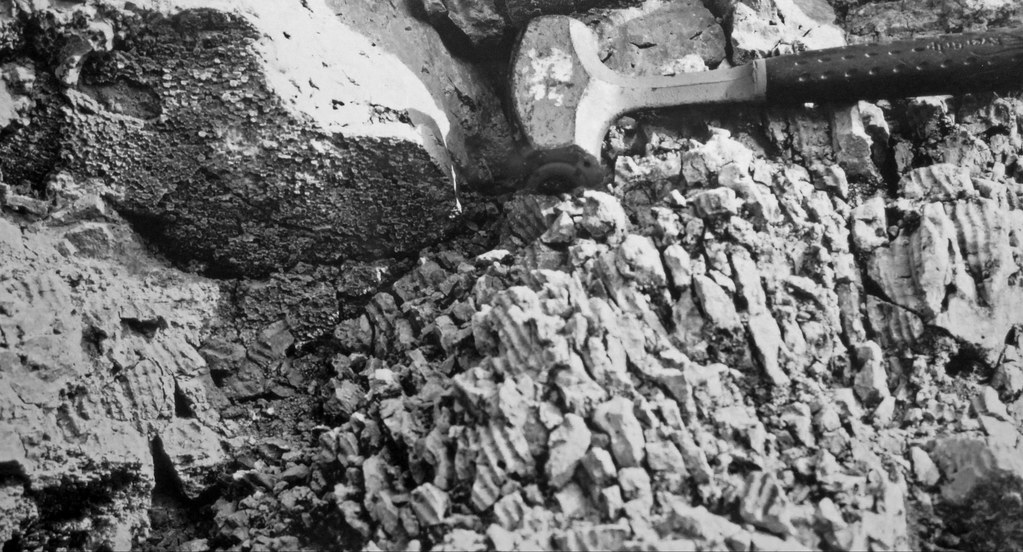 Halysites sp. (fossil coral) (Lockport Dolomite, Middle Silurian