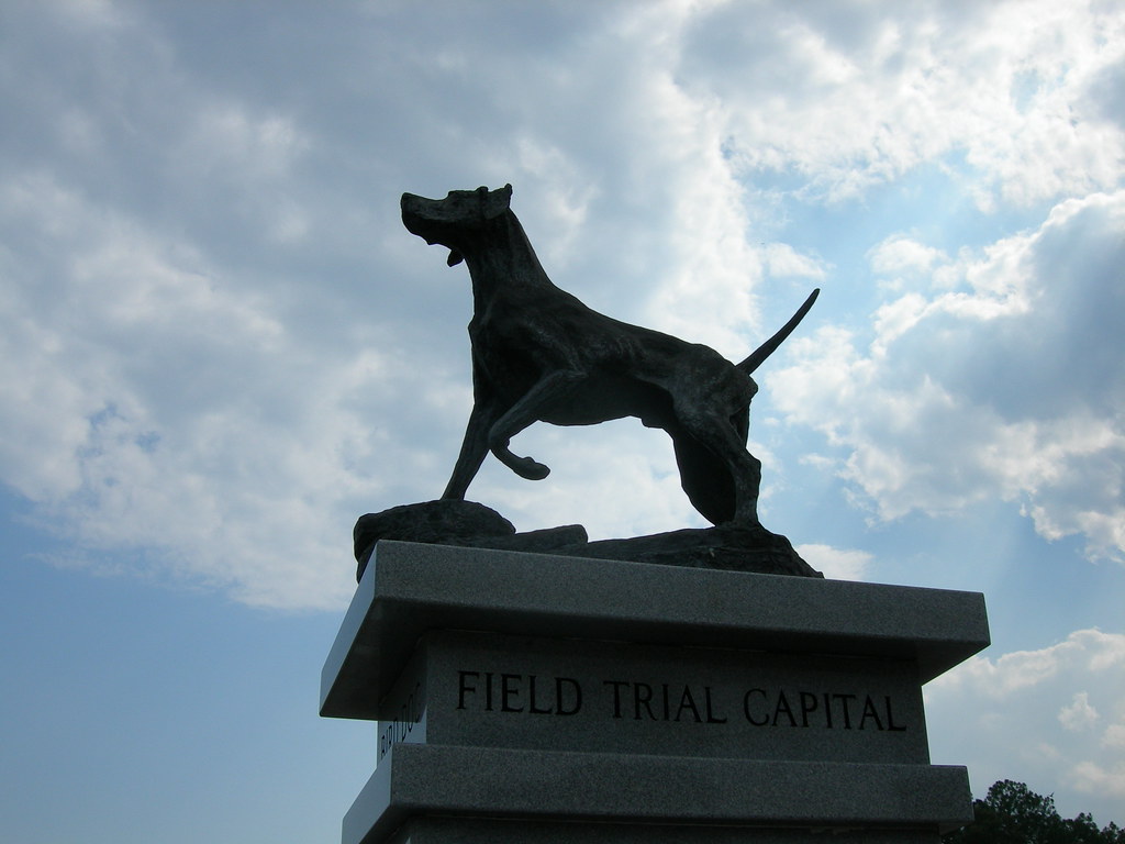 Bird Dog Statue Union Springs Alabamathe Field Trial Cap… Flickr