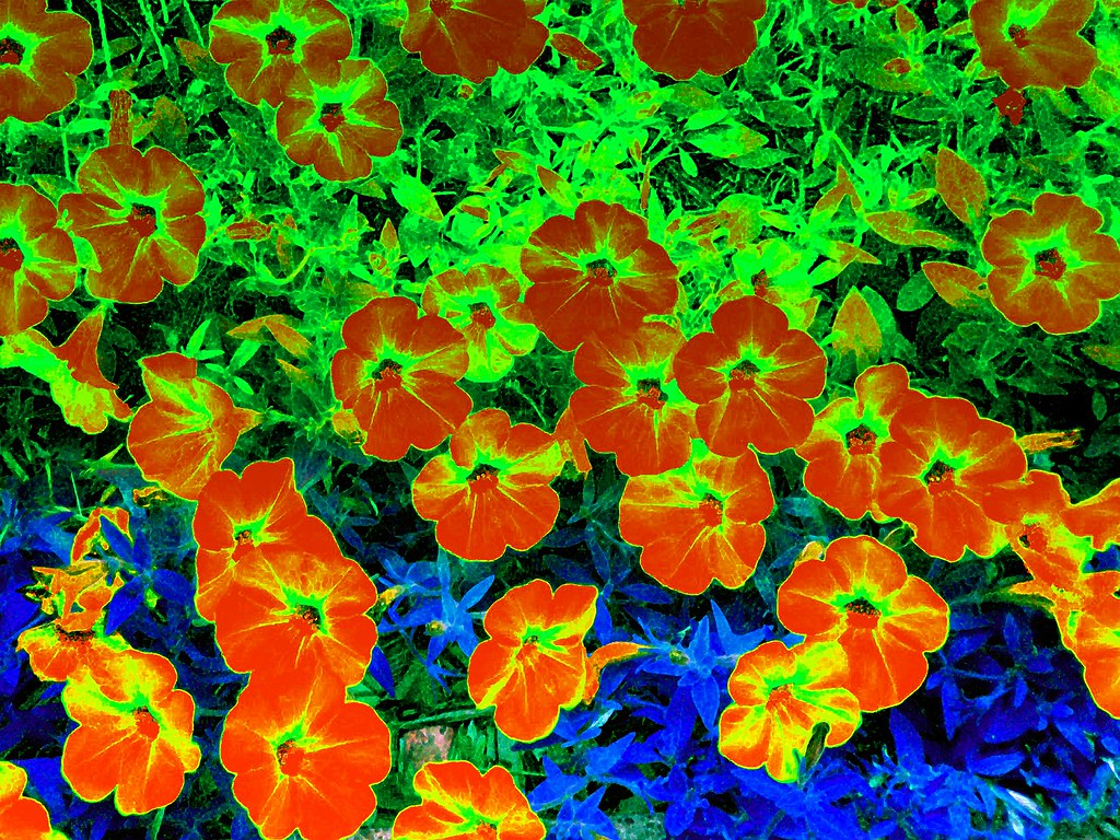 Elevation of Browns Creek Rd, St Albans, WV, USA Topographic Map