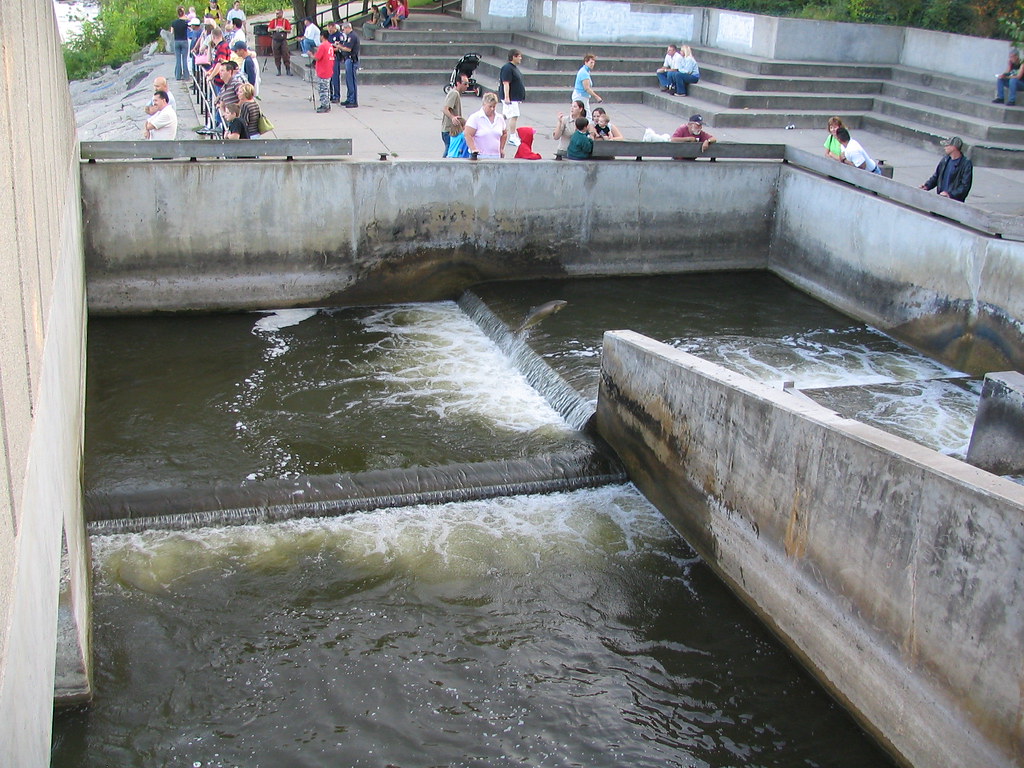 The Fish Ladder Grand Rapids, Michigan The Fish Ladder in … Flickr