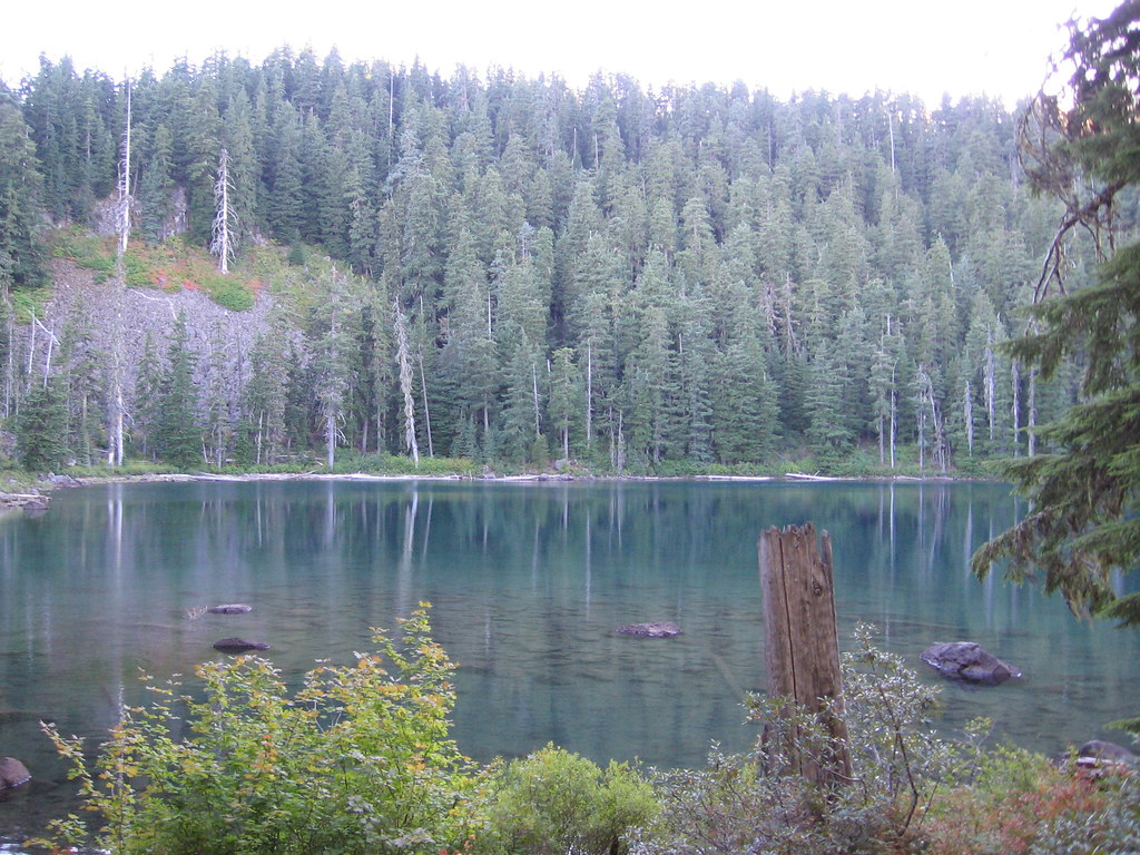 Buck Lake 34 Buck Lake is in the Mt Hood National Forest … Flickr