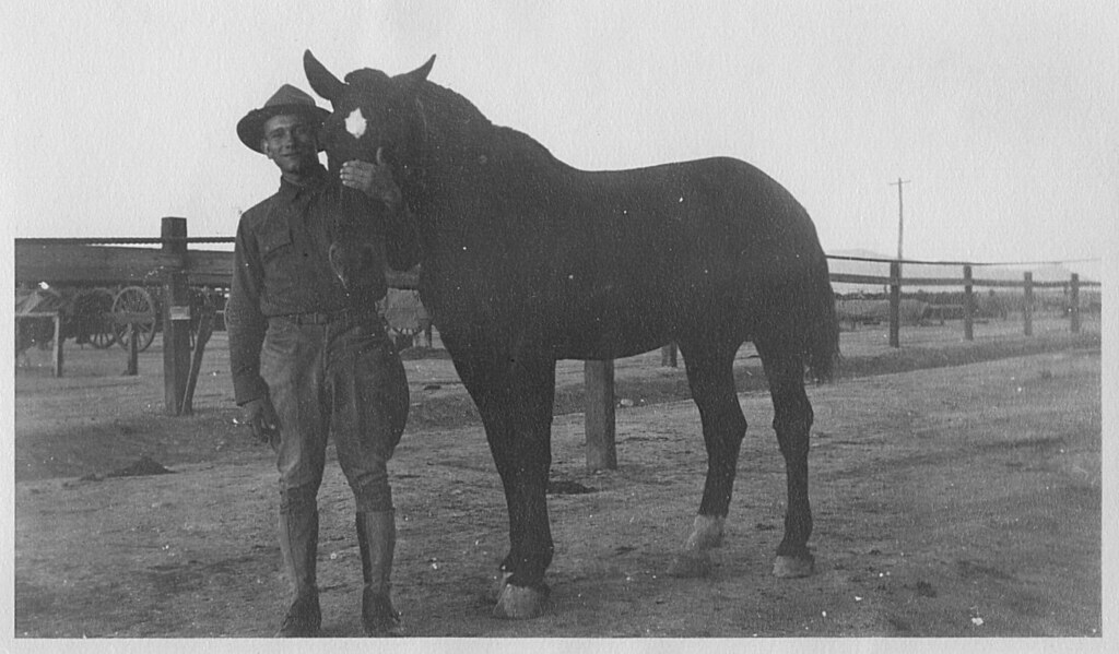Soldier and Horse, Douglas, Arizona, 1917 Snapshot of sold… Flickr