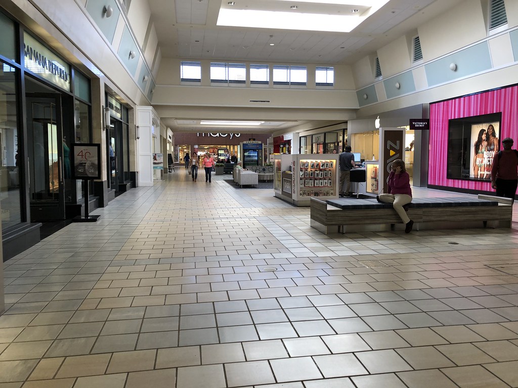 Are Dogs Allowed In The Maine Mall