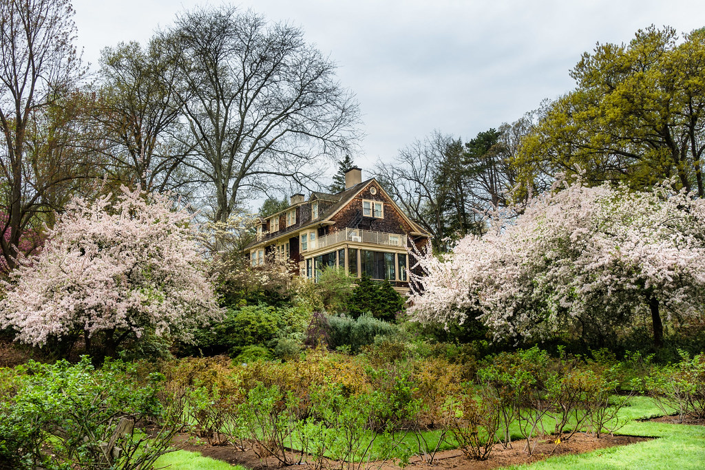 The ReevesReed Arboretum, Summit, NJ Vld0363 Flickr