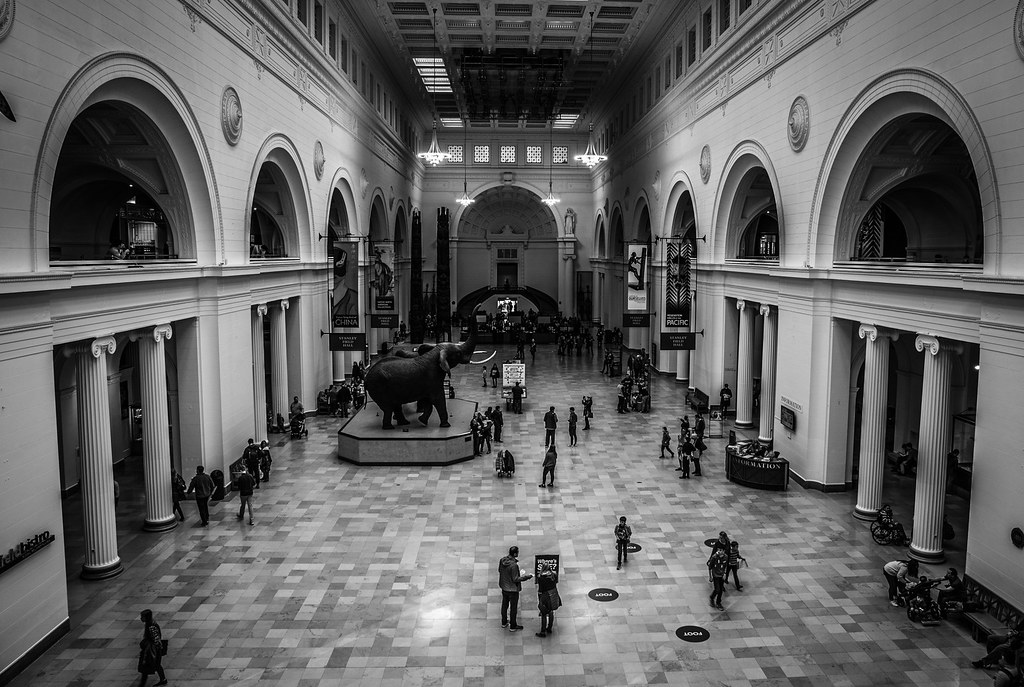 Field Museum Chicago Dustin Lawson Flickr