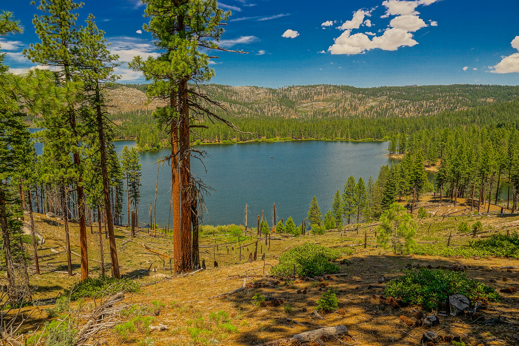 DSC08314Antelope Lake, Plumas County, CA In the high mou… Flickr