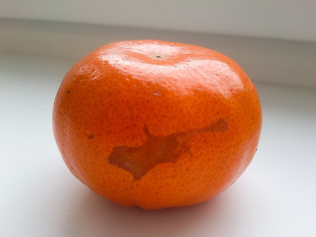 Spot on the peel of mandarin, similar to the contours of C… Flickr