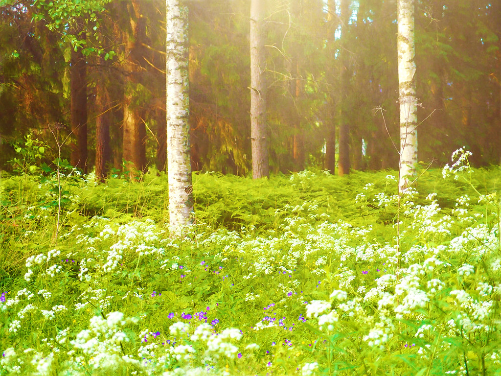 Nature is painting for us, day after day, pictures of infi… Flickr