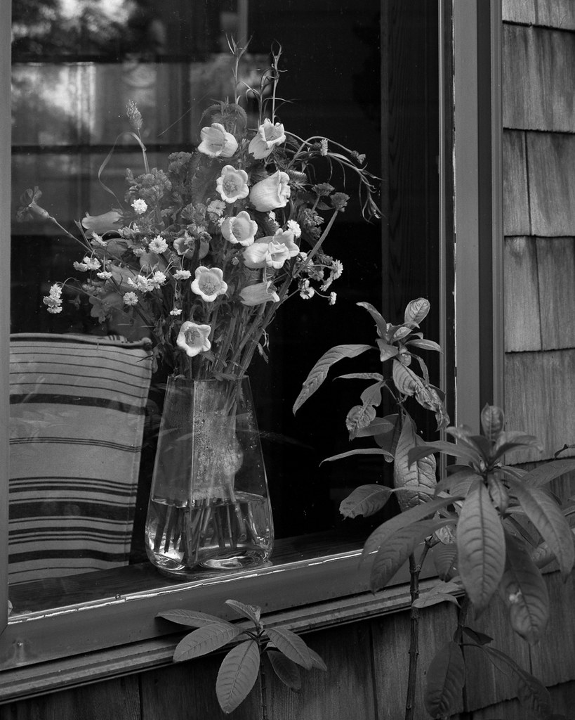 Clifford Terrace Flower arrangement seen through the livin… Flickr