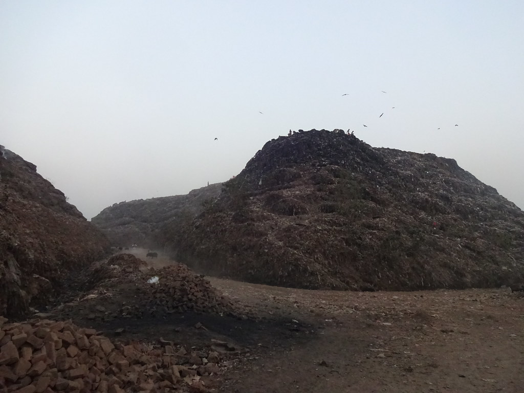 Kolkata Waste Dump Vision * * Kolkata Waste Dump Vision * … Flickr