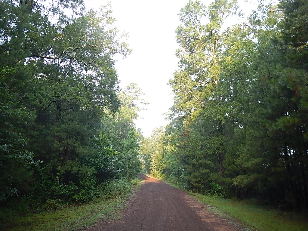 IattLake_20180706_3653 Iatt Lake, Kisatchie NF, Grant Par,… Flickr