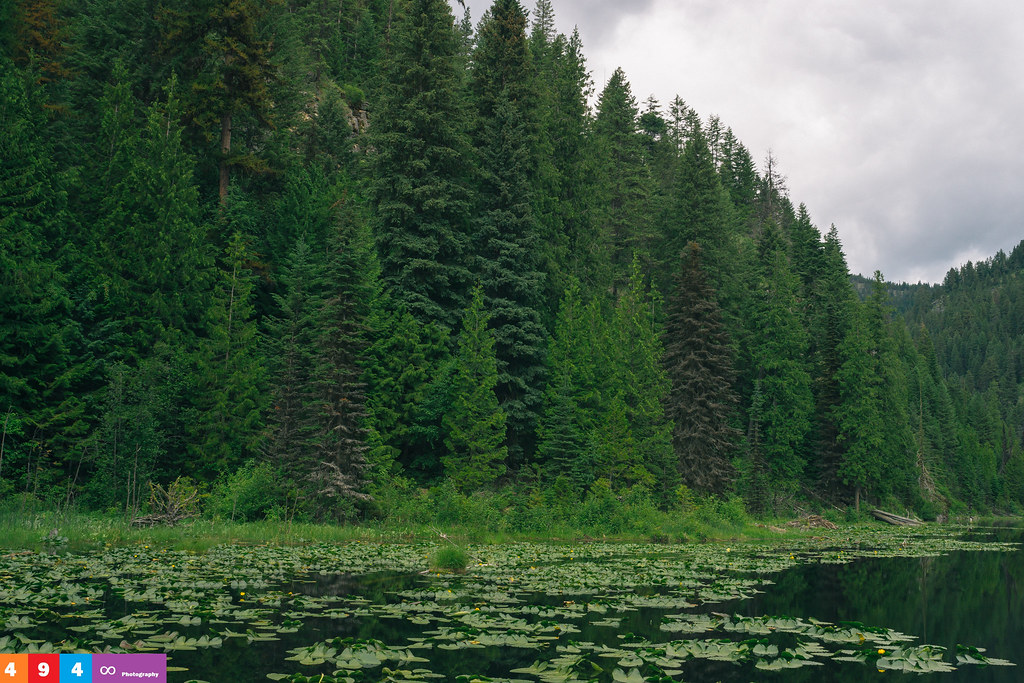 Elevation of 47 Merritt Ln, Kettle Falls, WA, USA Topographic Map