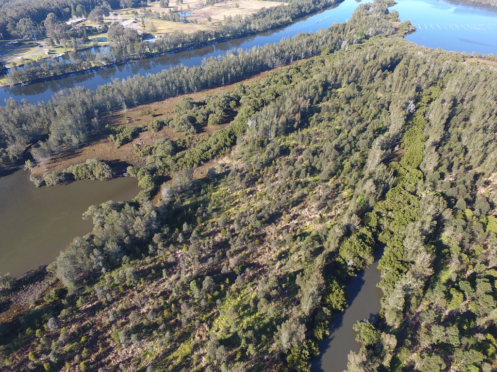 Greenfleet's Forest at Great Lakes, NSW July 2018 Flickr