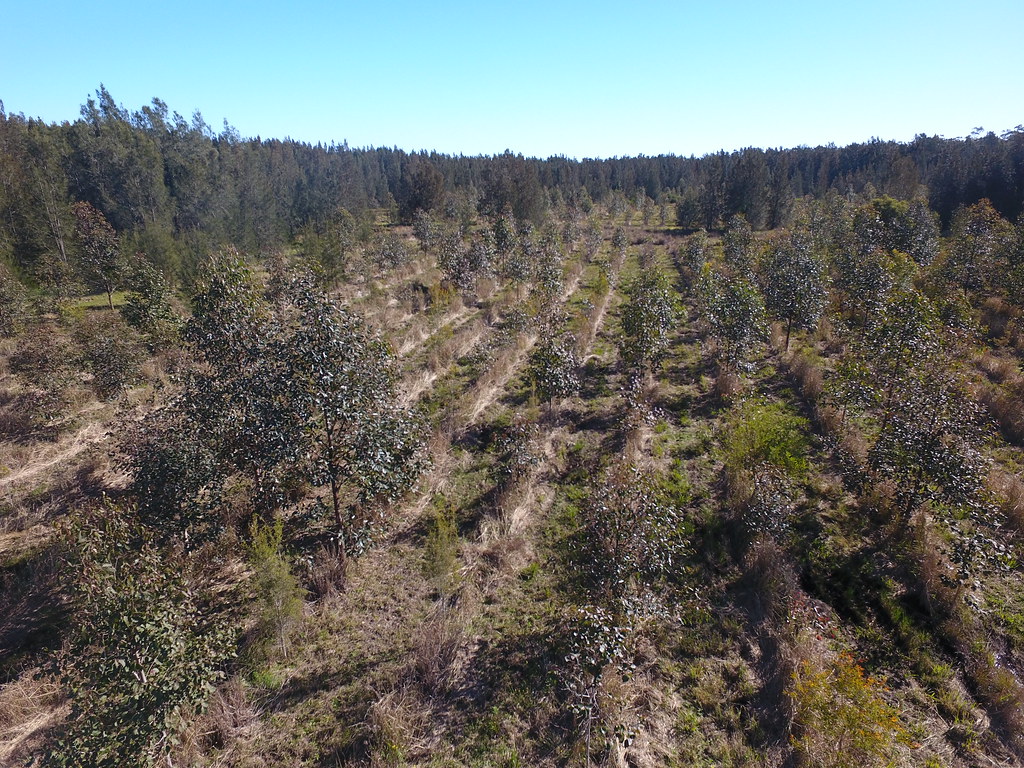 Site 525_Great Lakes, NSW July 2018 Drone footage captur… Flickr