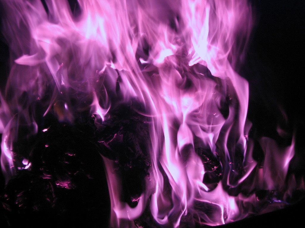 Purple Flames Closeup of the heart of the purple fires fl… Charlee