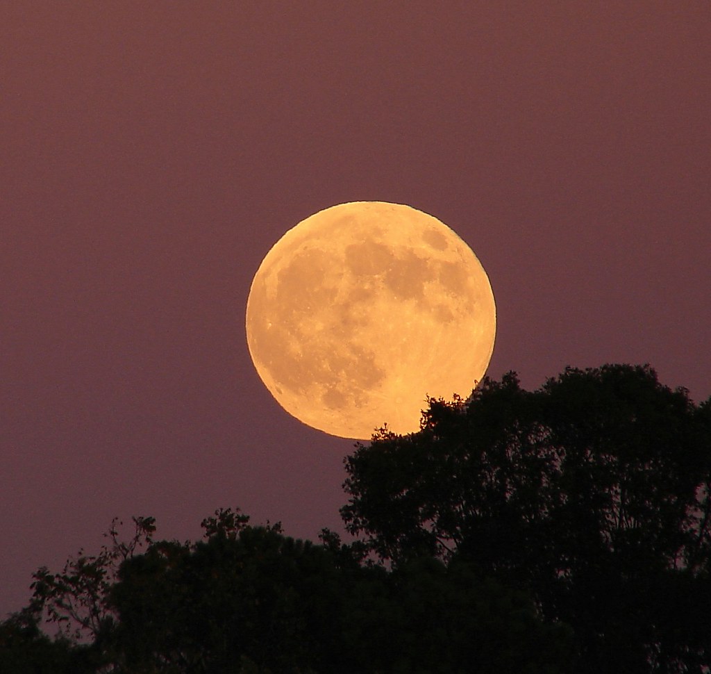 Full Harvest Moon Oct 6, 2006 Tennessee In Hendersonvill… Flickr