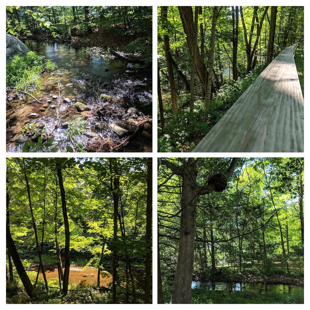 Mill River Greenway Walk Kevin Hodgson Flickr