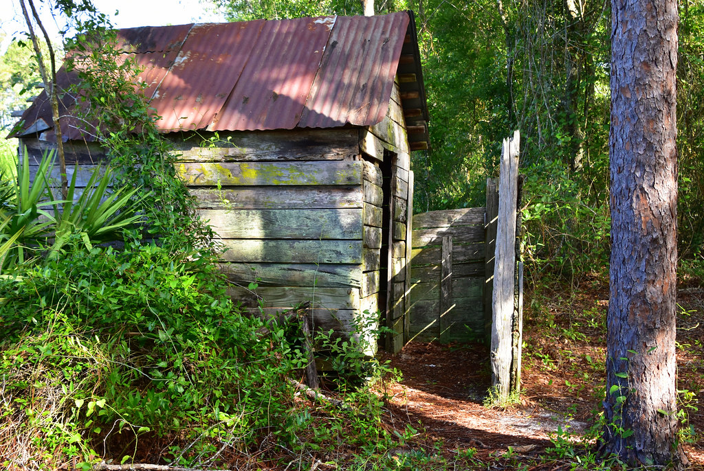 Elevation of Caney Bay Rd, Nahunta, GA, USA Topographic Map
