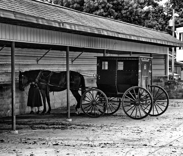 Flickriver Photoset 'Arthur Illinois' by Ray Cunningham
