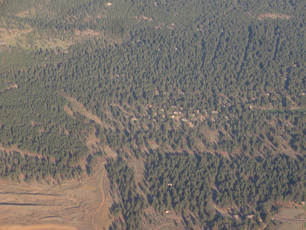 Galena Forest, Reno, Nevada Ken Lund Flickr