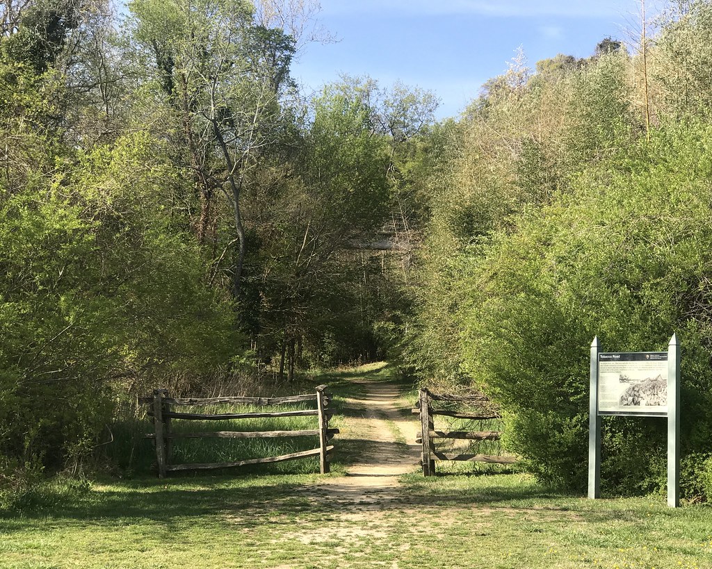 Tobacco Road entrance Wally626v Flickr