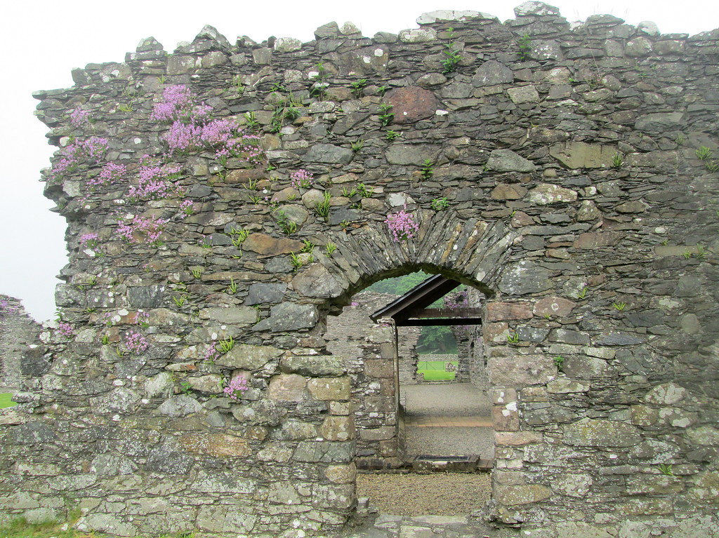 Glenluce Abbey Glenluce Abbey , Dumfries and Galloway