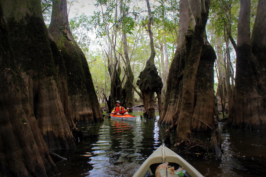 Satilla River (4) Matt Flickr