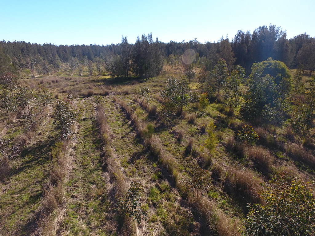 Site 525_Great Lakes, NSW July 2018 Drone footage captur… Flickr