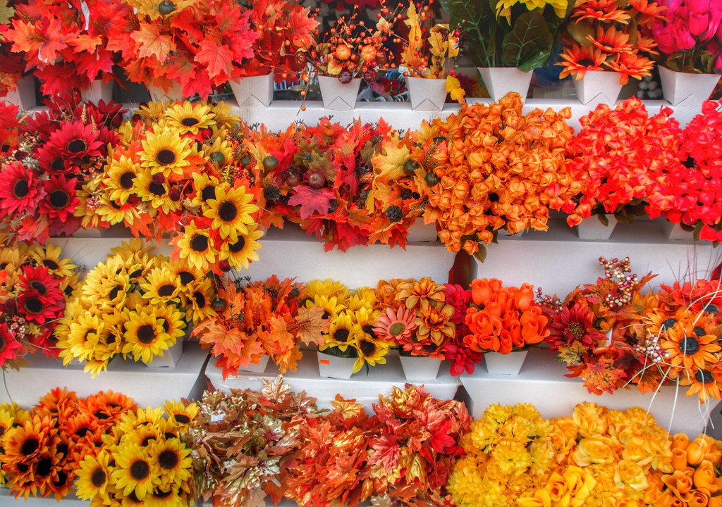 Brockville Ontario Canada Store front Autumn Flower Cluster Colonial Flowers & Gift Shoppe