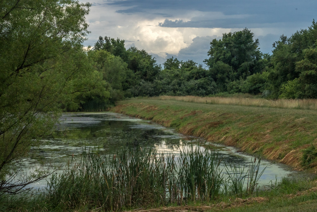 Tanglewood Lake James A. Reed Wildlife Area, Lee's Summit,… Flickr
