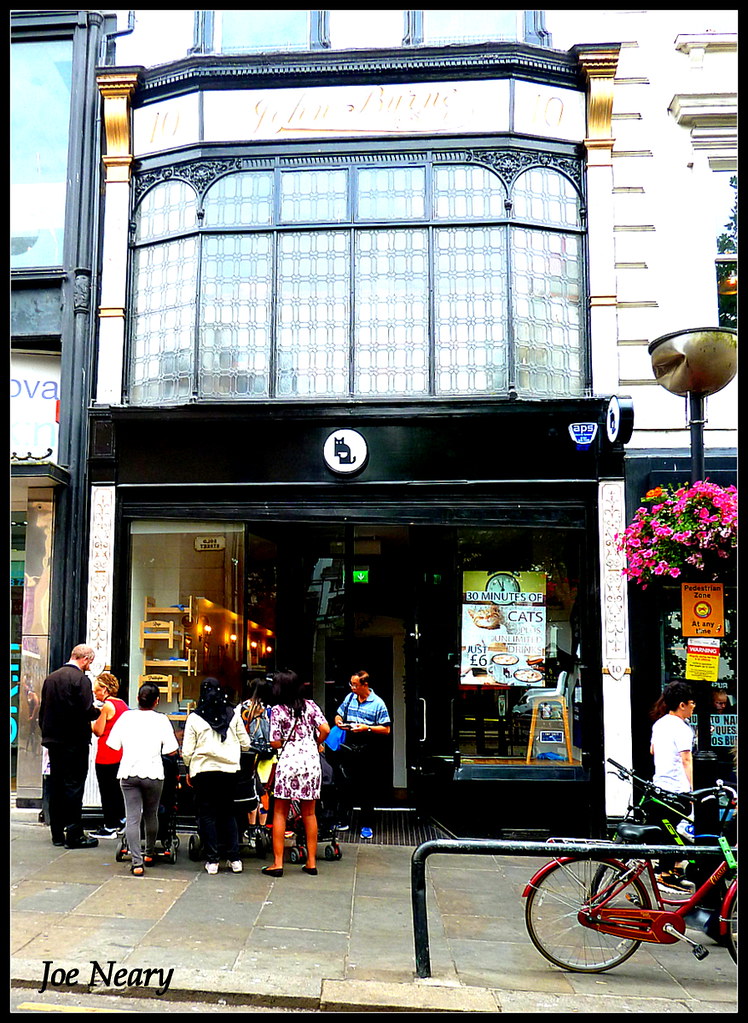 Cat Cafe Bold Street Liverpool Yang Populer!